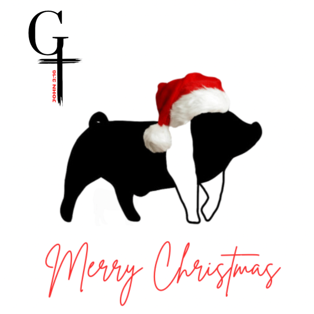 Pig Christmas Hat Shirt