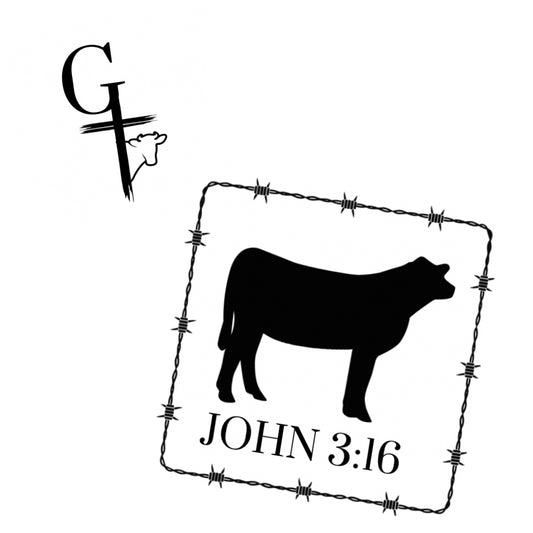 Cow 3:16 shirt
