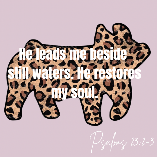 Bible Verse Shirts