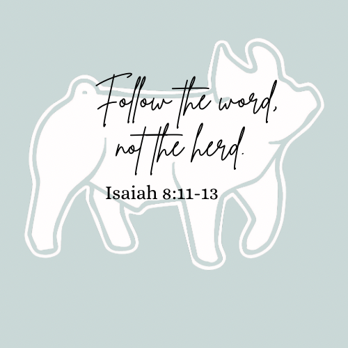 Bible Verse Shirts