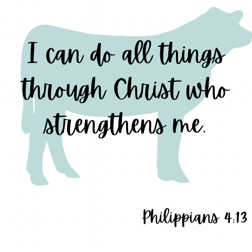 Bible Verse Shirts