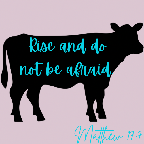 Bible Verse Shirts
