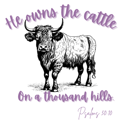 Bible Verse Shirts